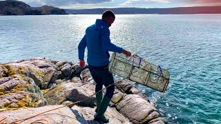 Lobster pot fishing cliff jumping and shrimping  Scottish Highlands [upl. by Colette]