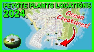 Peyote Plants Locations Map Waterplants Version May 2024  GTA 5 Online [upl. by Linis]