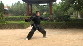 An Wushu  Baji Quan [upl. by Hanus793]