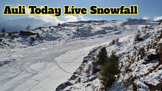 औली में बर्फ़बारी सुरु औली उत्तराखंड Auli Live Snowfall Auli receives fresh snow  aulisnowfall [upl. by Yrrej]