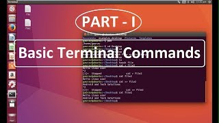 Basic Terminal Commands in Linux Ubuntu  Ubuntu tutorial for Beignners [upl. by Stevenson376]