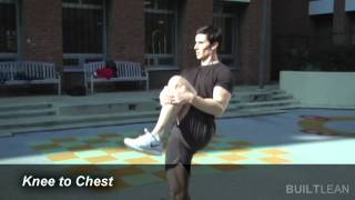 Dynamic Stretching Routine Before Your Workout [upl. by Pease134]