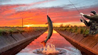 Fenland Pike Fishing Adventures  Tales of Triumph and Trophy fish [upl. by Luthanen]