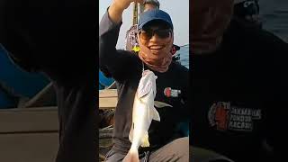 Mancing Mania Mantap [upl. by Aivatra]