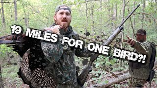 WEST VIRGINIA TURKEY HUNT WITH THE UNTAMED [upl. by Nilad]