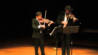 JHaydn Violin Duet in B Flat Major op99 1st movement [upl. by Ernesta892]