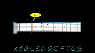 Understanding how a capo works [upl. by Erehs979]