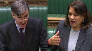 Jacob ReesMogg blasts remoaner lawyer for taking Government to court [upl. by Ellierim]