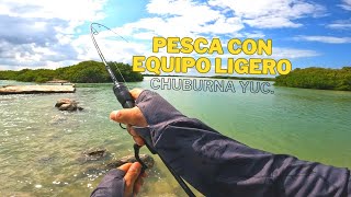 Pesca en Chuburná Yucatán [upl. by Nyrad599]