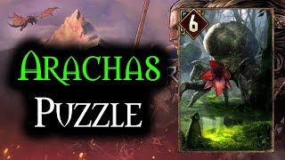 Arachas Puzzle  Thronebreaker The Witcher Tales [upl. by Kcirdneked]