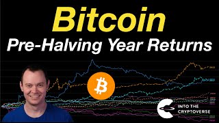 Bitcoin PreHalving Year Returns [upl. by Oisangi49]