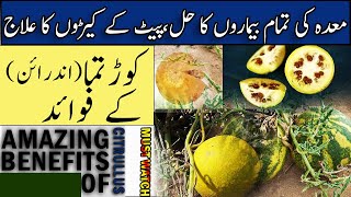 Citrullus Benefits  UrduHindi  Dar ul Hikmat Urdu  DUH [upl. by Yaniv]