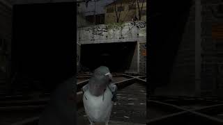 STUPID Pigeon [upl. by Fredra]