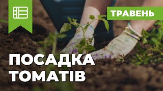 17 Посадка томатов Май [upl. by Omrellug]