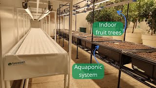 Aquaponic System Watering Indoor Fruit Trees [upl. by Shaikh]