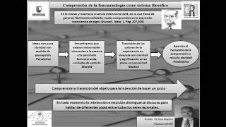 Nóema y nóesis de Husserl en el libro Ideas [upl. by Dupuis]