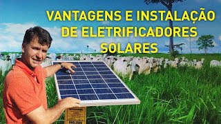 CONHEÇA O ELETRIFICADOR SOLAR PARA CERCA ELÉTRICA MAIS POTENTE DO MERCADO [upl. by Alor703]