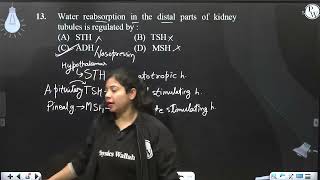 Water reabsorption in the distal parts of kidney tubules is regulated by [upl. by Sergius486]