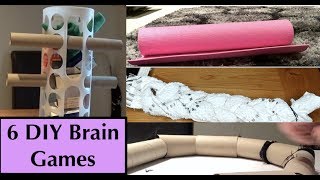 DIY Brain Games for Dogs Homemade food puzzle toys [upl. by Forta]