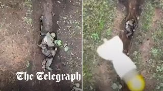 Moment Russian soldier catches and throws away Ukrainian drone bombs [upl. by Evatsug]