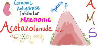 Carbonic Anhydrase inhibitors Mnemonicamp Poem [upl. by Yung]