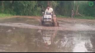 Puddling in Paddy field [upl. by Asert]