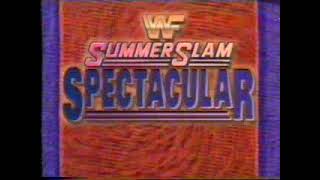 1993 08 16 The Steiner Brothers vs Money Inc [upl. by Wolbrom]