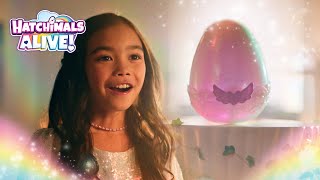 Hatchimals Alive Mystery Hatch  Something Magical is Coming [upl. by Roydd179]