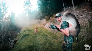 HUNTING VLOG 1 Fallow Deer Over A Vizsla  DEER HEART RECIPE [upl. by Saihtam694]