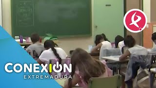 Detectan un caso de sarna en un colegio de Mérida  Conexión Extremadura [upl. by Ridgley730]