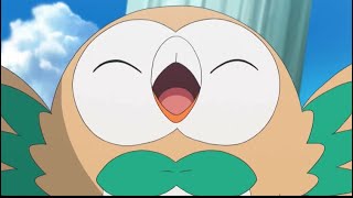 Rowlet being Rowlet🦉🍃 [upl. by Torbart]