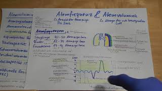 5 Wie viel passt in die Lunge Erklärung Atemfrequenzen amp Lungenvolumina für Rettungssanitäter [upl. by Cohberg]