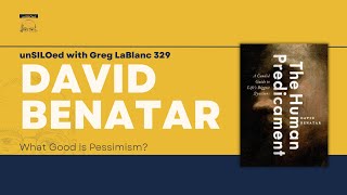 329 What Good is Pessimism feat David Benatar [upl. by Cordier]