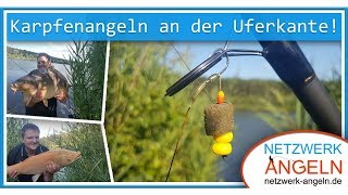 Karpfenangeln an der Uferkante [upl. by Neukam]