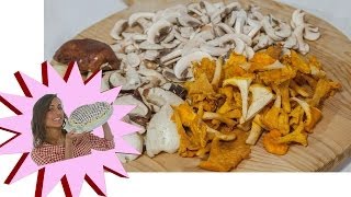 Pulire i Funghi  Ecco come Fare  Le Ricette di Alice [upl. by Adnek529]