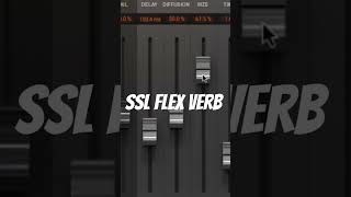 ssl flexverb on sale now [upl. by Aicrop]