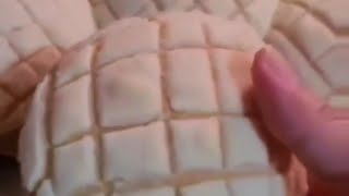 How to make mexican conchas bread conchas pandulce sweetbread panaderia [upl. by Aleil]