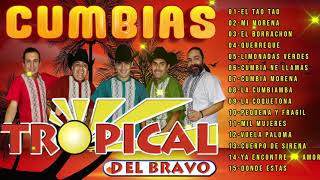 🌴TROPICAL DEL BRAVO CUMBIAS TROPICALES PARA BAILAR MIX 20 EXITOS 🌴MUSICATROPICALES [upl. by Englebert]