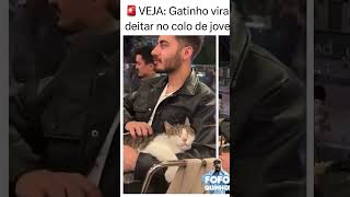 ASMR GATINHO FOFO 💘 [upl. by Beilul115]