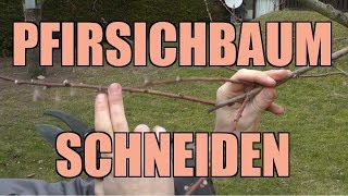 Pfirsichbaumschnitt  Wie schneide ich einen Pfirsichbaum [upl. by Irreg]