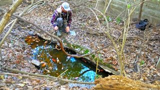 Fishing in a PUDDLE [upl. by Atoiganap]