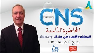 DrNagi  Live Physiology  Lecture 50  CNS Sensory 8  Hyperalgesia amp Spinal Cord Lesions [upl. by Dory]