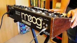 Moog Prodigy Analog Synthesizer 1979 sound demo [upl. by Florie867]