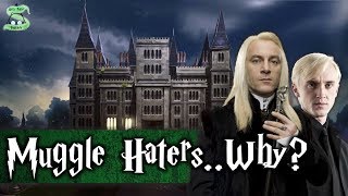 The Real Reason Why The Malfoys Hated Muggles and Muggleborns [upl. by Renae317]