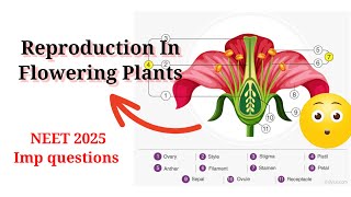 Reproduction In Flowering Plants NEET 2025  IMP MCQs [upl. by Lertnek]