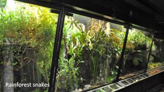 Terrariums and enclosures at Tropicarium Kolmården [upl. by Kern240]