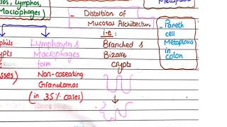 Crohns Disease  Pathology [upl. by Ainolloppa375]