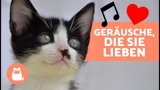 7 GERÄUSCHE die KATZEN lieben 🐱🔊  Geräusche um deine KATZE ANZULOCKEN ✅ [upl. by Enitnelav]