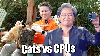 AMD EPYC in 2022 with MilanX Zen 4 and Cats 🐈 [upl. by Annaeerb]