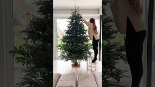 Tannenbaum aufstellen amp schmücken 🎄 mit der ganzen Familie 😍 shorts Mamiseelen [upl. by Eelyek]